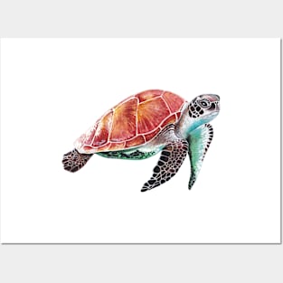 Turtle swimming solo in the ocean Posters and Art